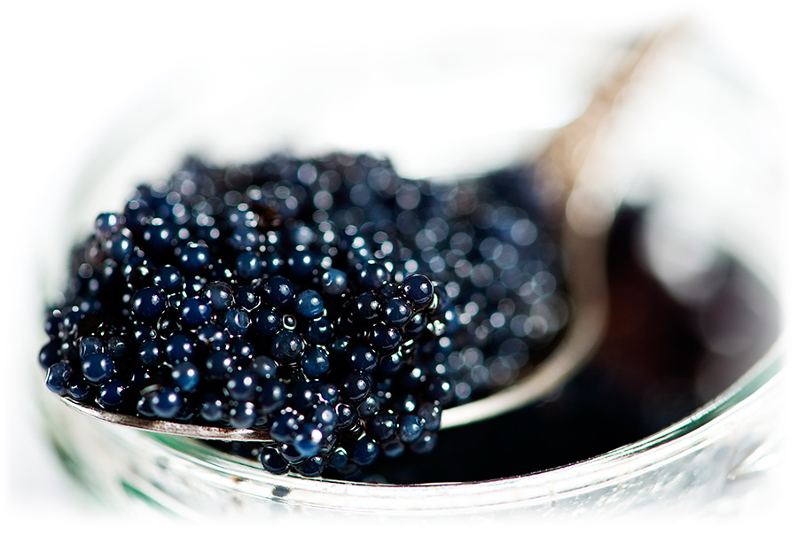 Nahaufnahme von schwarzem Caviar auf einem Löffel über einem Glasschälchen