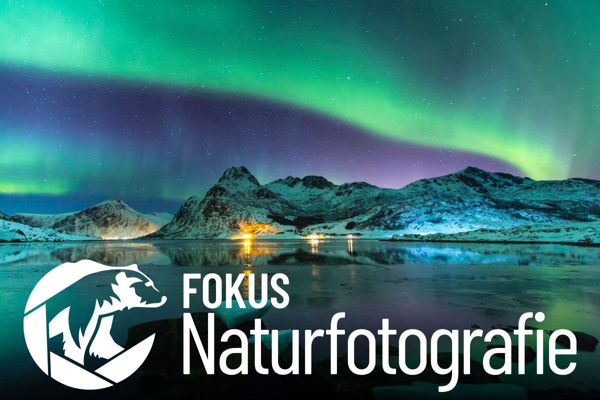 Fokus Naturfotografie